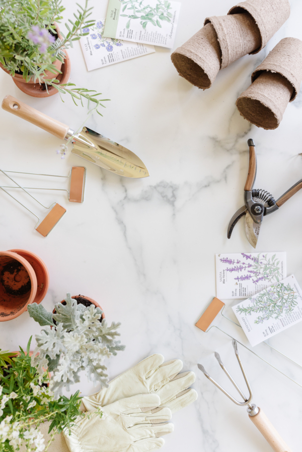 gardening tools and accessories displayed on marble