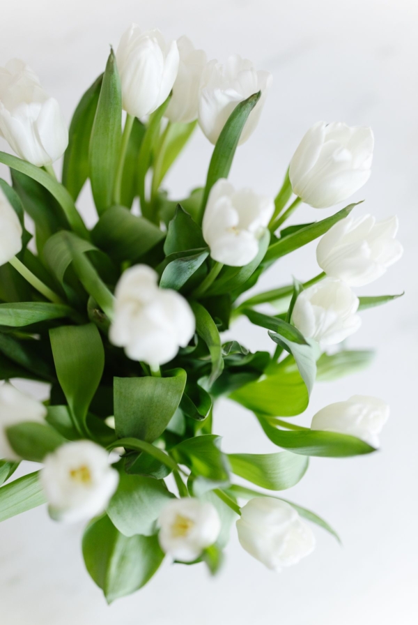 A close up of a white tulip arrangement as part of a tutorial for how to arrange tulips.